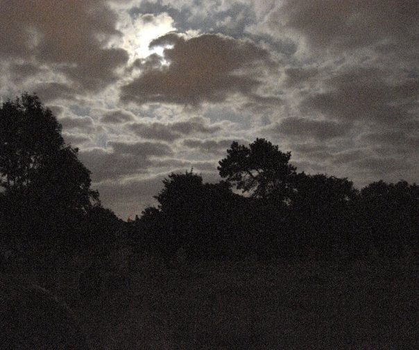 Dark