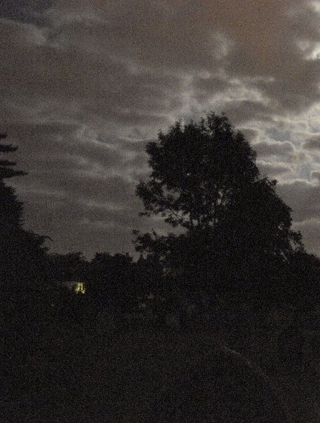 Dark