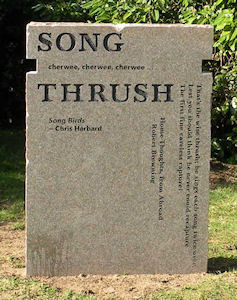 Song Thrush by Gordon Young
