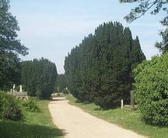 Cemetery