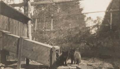 Fox Farm