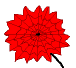 Paper flower - stage 5