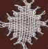 Cloth diamond
