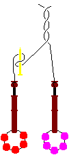 Loop left