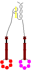 Push pin in