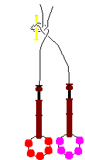 Picot