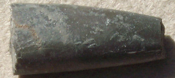 Belemnite