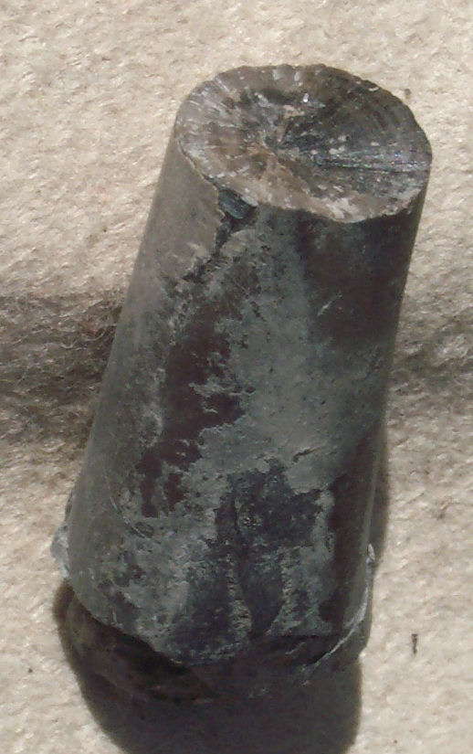 Belemnite