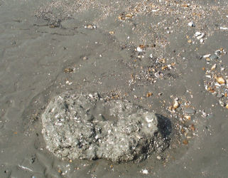 Bracklesham Bay