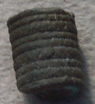 Crinoid stem - side