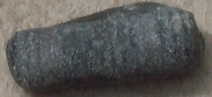 Crinoid stems