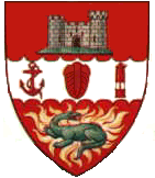 Dudley shield