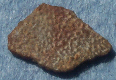 Dinosaur egg shell