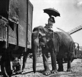 Elephant shunting