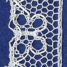 Bucks Point butterfly