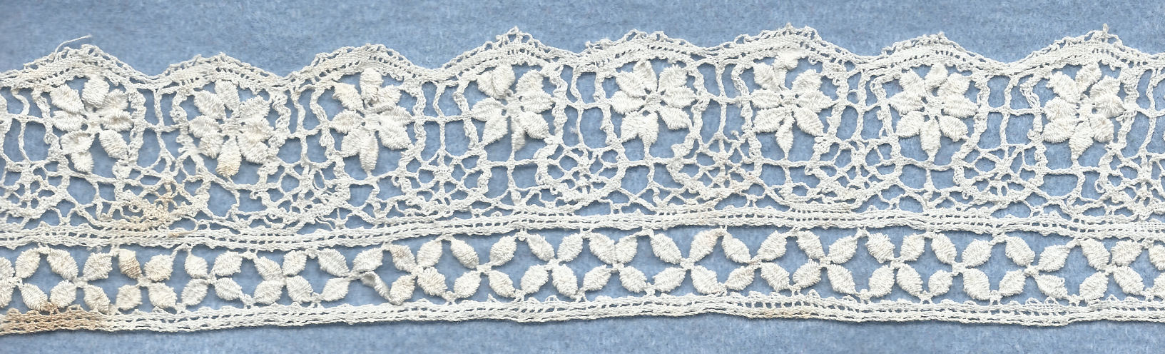 Bedfordshire Maltese edging