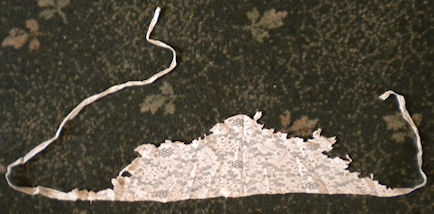 Machine-made lace shape