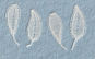 Single Honiton lace motif