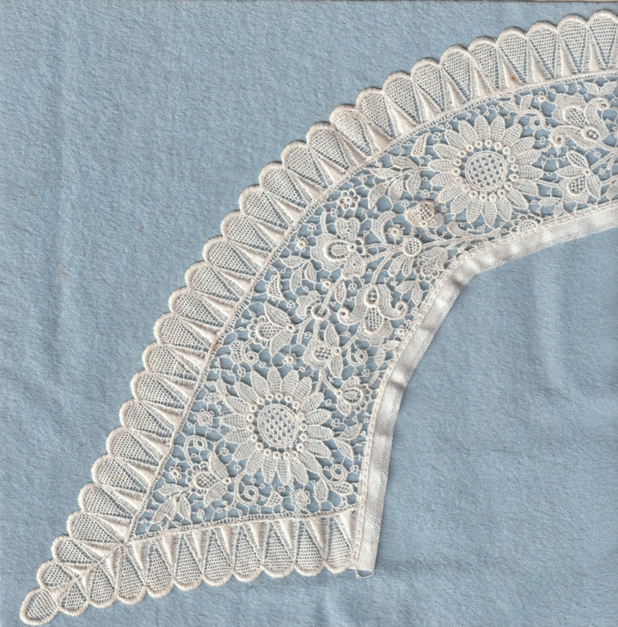 Schiffli machine lace - collar