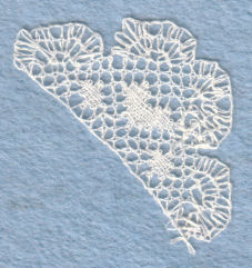 Picture of lace