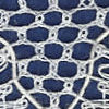 Picture of lace