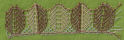 Picture of lace