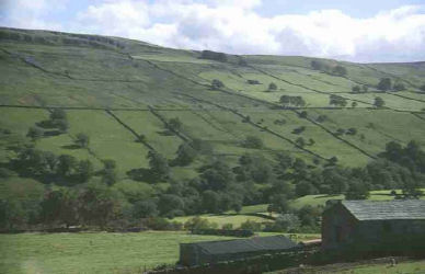 Yorkshire Wolds