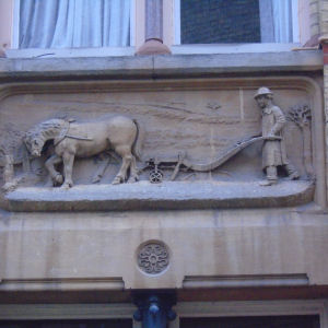 Plough horses