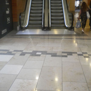 Ammonite in Lion Yard