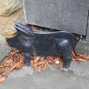 Pig footscraper