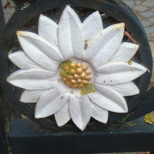 Bronze Flower Path Bronze Flower Path