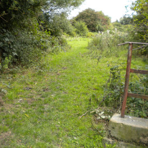 Coldhams Common