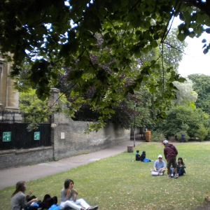 Christs Wall next to Milton's Walk