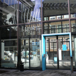 Zoology Museum