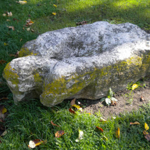 Gargoyle spout near Castle Mound