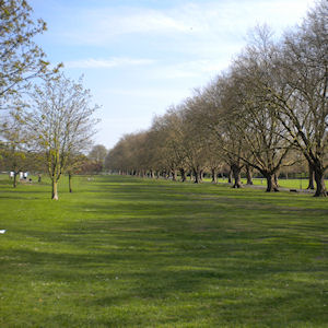 Jesus Green Jesus Green