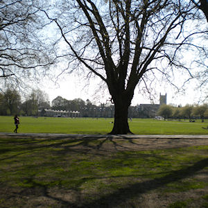 Jesus Green Jesus Green