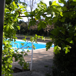Jesus Green Jesus Green