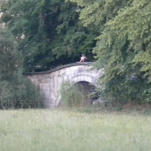Kings College Bridge