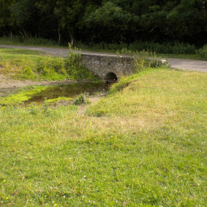 Coe Fen ditch with bridge over it