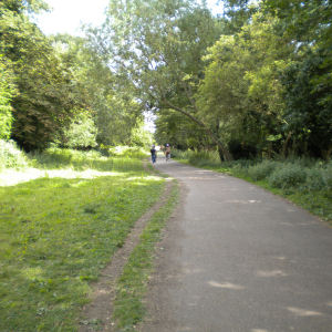 Path to the Botanic Gardens