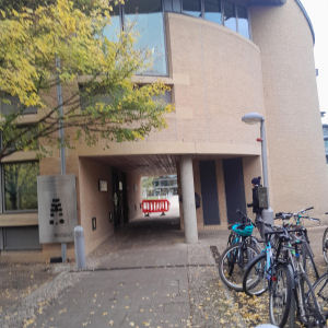 Sculpture of Isaac Newton Institute