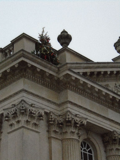 Christmas tree on Senate House
