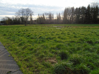 Coe Fen