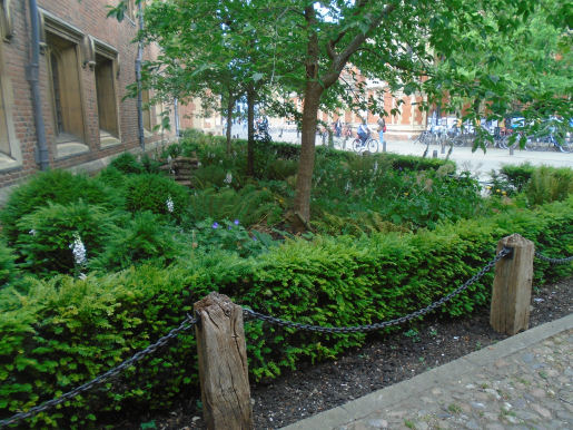St Johns Presidents Garden