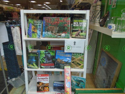 Window wanderland 2023